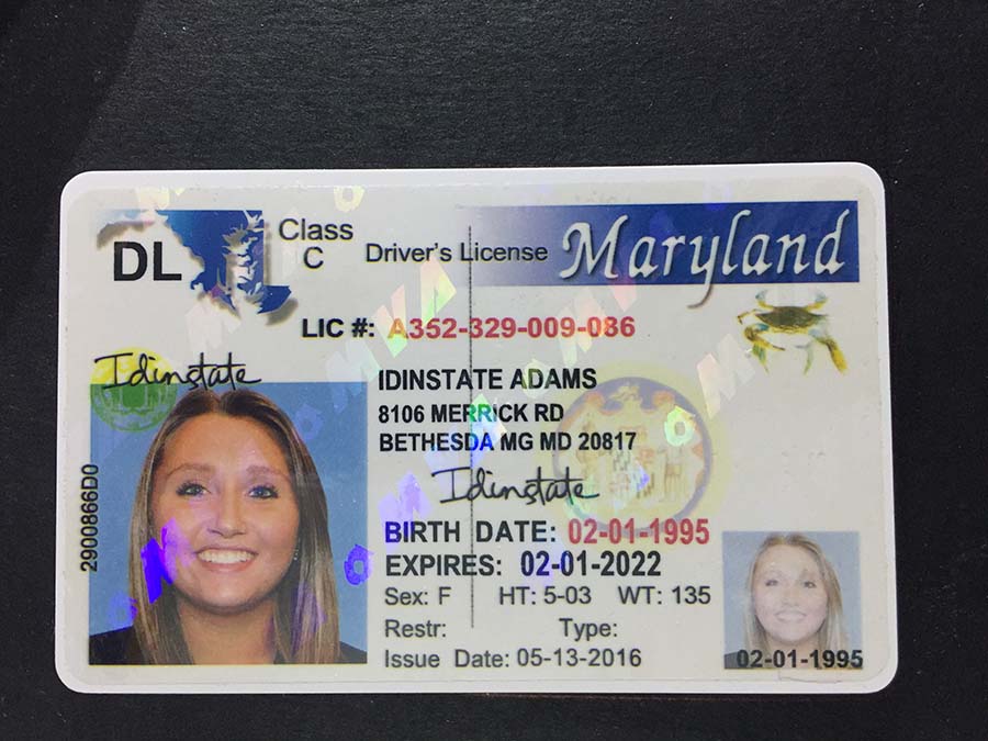 Driver’s licenses in the United States