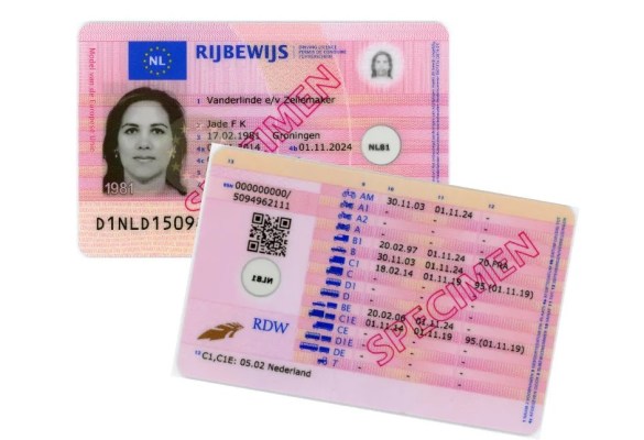 netherlands driving license.